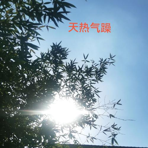 普尔：新奥尔良人很热情好客 但这里天气确实很热