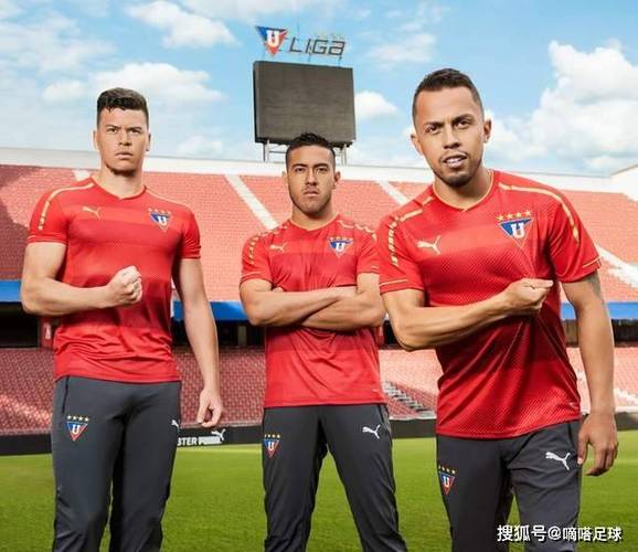 解放者杯半决赛对阵:基多体育大学vs帕尔梅拉斯,竞技vs弗拉门戈