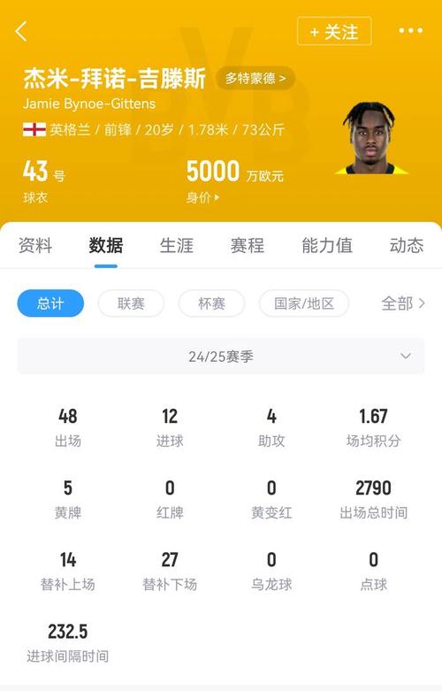 杰米吉滕斯：多特蒙德出品的又一“高价水货”