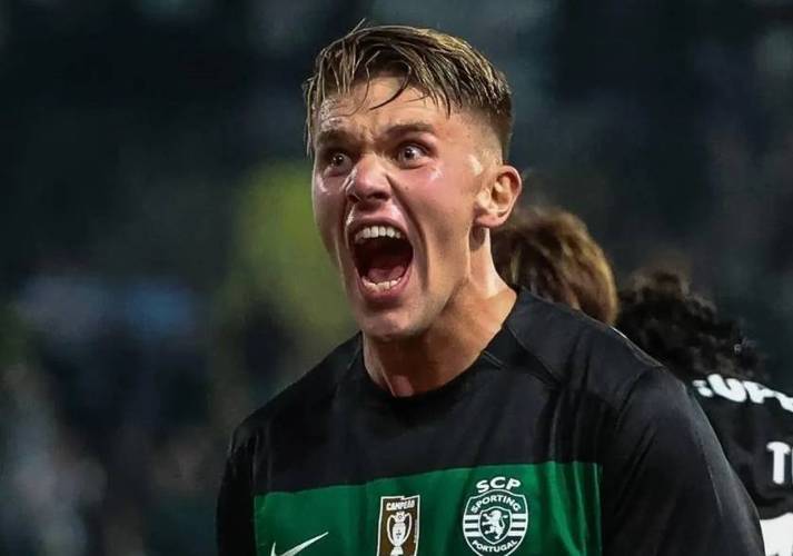 积极参与攻防,约克雷斯全场数据:3射门1中框,3解围,获评6.6分