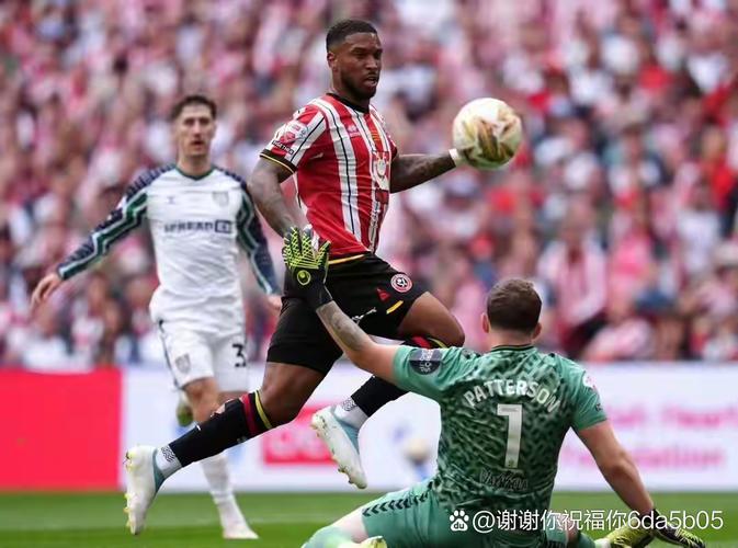 桑德兰主帅:如果球队达不到应有的水平,那我们无法在英超立足