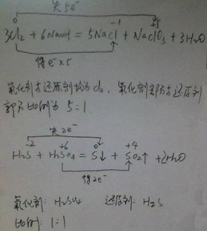 打得可以！4号秀克尼佩尔13中6&4记三分拿下18分2板2助