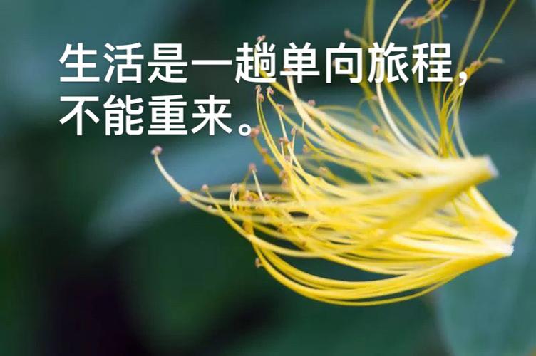 帕努奇：莱奥也可以踢中锋的位置，但他需要付出更多的努力