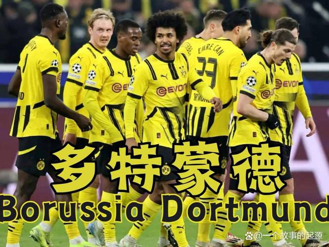 图片报：多特6人合同将到期，埃姆雷-詹、聚勒等4人离队可能性大