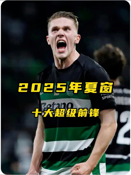今夏新援最快攻入首球排名：埃基蒂克4分钟居首，博尼5分钟次席