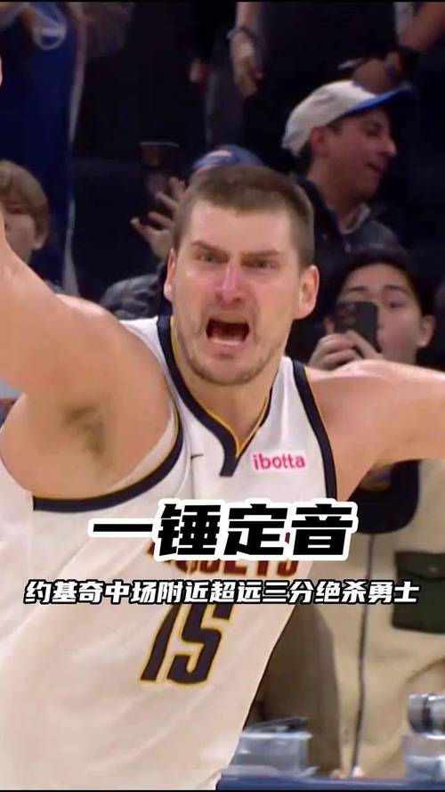 湖掘大战后拳击球迷！约基奇大哥承认两项指控被判处一年缓刑