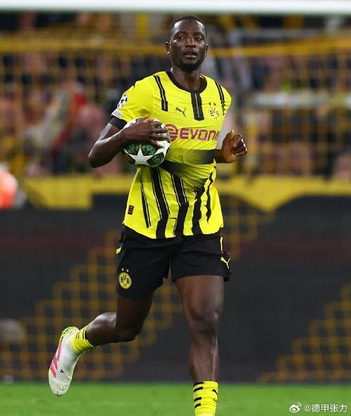 图片报：多特前锋吉拉西因伤退出几内亚国家队名单，已返回德国