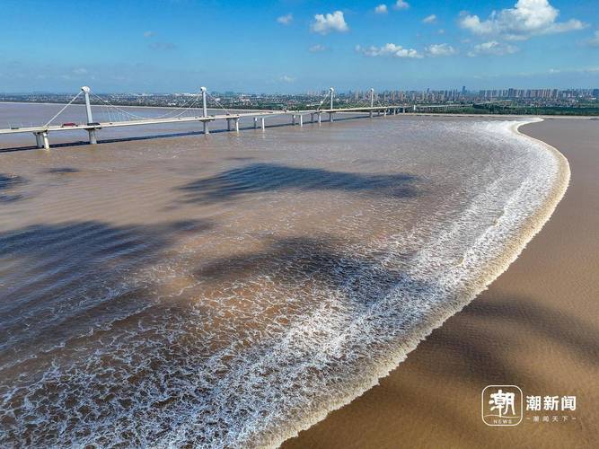 风起钱塘·潮涌杭州