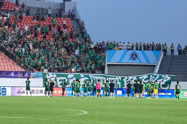 袁甲谈国安半场：恢复到之前连败状态，再不赢亚冠二级都无法出线